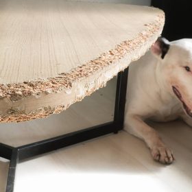 Scratch-Resistant Furniture for Pets to Protect Your Home and Keep It Looking New